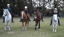 Valhalla Horse Riding - Kawana Tourism 1