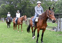 Valhalla Horse Riding - Kawana Tourism 2