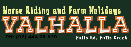 Valhalla Horse Riding - Kawana Tourism 4