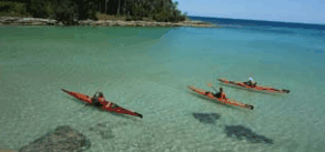 Jervis Bay Kayak & Paddlesports - Kawana Tourism 4