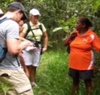 Ingan Tours - Spirit of the Rainforest Tour - Kawana Tourism
