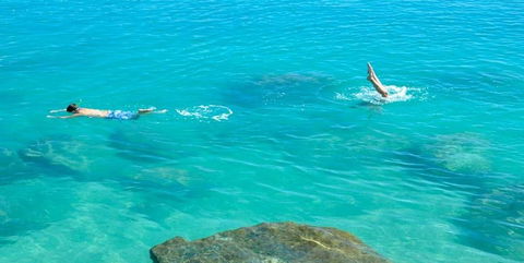 Salty Dog Sea Kayaking - Kawana Tourism 1