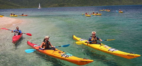 Salty Dog Sea Kayaking - Kawana Tourism 2