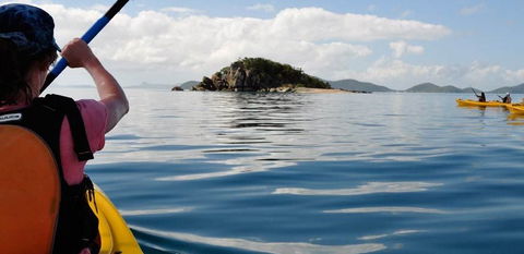 Salty Dog Sea Kayaking - Kawana Tourism 3