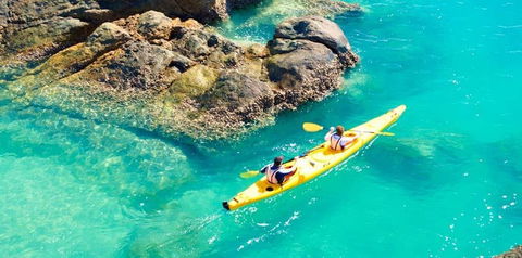 Salty Dog Sea Kayaking - Kawana Tourism 9