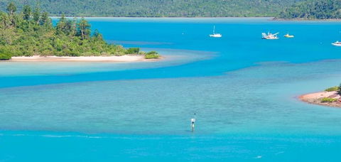 Salty Dog Sea Kayaking - Kawana Tourism 10