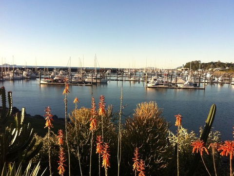 Mantaray Charters - Kawana Tourism 0