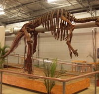 Australia's Dinosaur Trail - Kawana Tourism