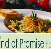 Land of Promise Hotel - Kawana Tourism