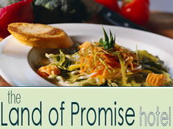 Land Of Promise Hotel - Kawana Tourism 0
