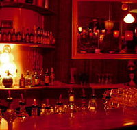 The Night Cat - Kawana Tourism
