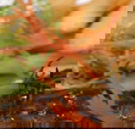 Hallam Hotel - Kawana Tourism