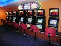 Swell Tavern - Kawana Tourism 1
