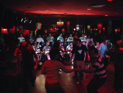 The Night Cat - Kawana Tourism 1