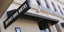 Skinny Dog Hotel - Kawana Tourism 0