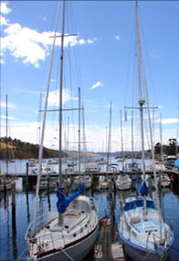 Kettering TAS Kawana Tourism