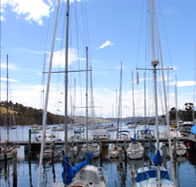 Oyster Cove Inn - Kawana Tourism