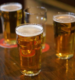 Argy Bargy - Kawana Tourism 3