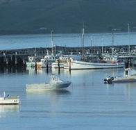 The Apollo Bay Hotel - Kawana Tourism