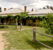 The Blue Duck Inn Hotel - Kawana Tourism