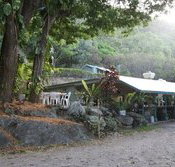 Ellis Beach Bar  Grill - Kawana Tourism