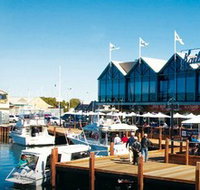 Kailis Fish Market Cafe - Kawana Tourism