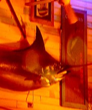 Joes Fish Shack - Kawana Tourism 3