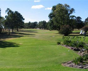 Branxton Golf Club - Kawana Tourism 0