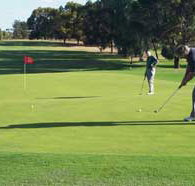 Waikerie Golf Club - Kawana Tourism