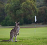 Anglesea Golf Club - Kawana Tourism