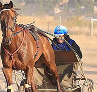 Ballarat  District Trotting Club - Kawana Tourism