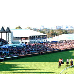 South Australian Jockey Club - Kawana Tourism 0