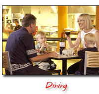 Steelers Club - Kawana Tourism