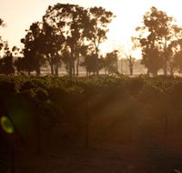 Evans  Tate - Kawana Tourism