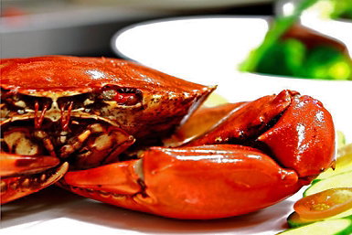 Newquay International Buffet - Kawana Tourism 0