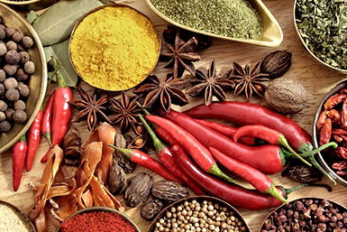 Vamos Melbourne - Kawana Tourism 0