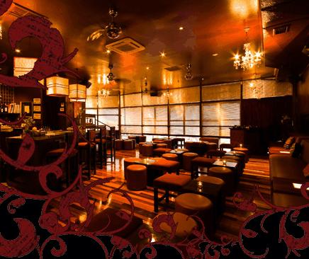 Hippo Lounge Bar - Kawana Tourism