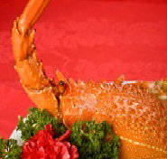 Marigold - Kawana Tourism