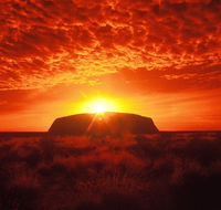 Annie's Place - Kawana Tourism