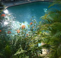 Avoca Beach Hotel - Kawana Tourism