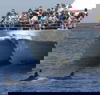 MoonshadowTQC Cruises - Kawana Tourism