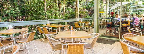 Rainforest Cafe (Sea Acres) - Kawana Tourism 1