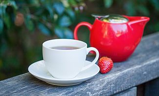 Rainforest Cafe (Sea Acres) - Kawana Tourism 2