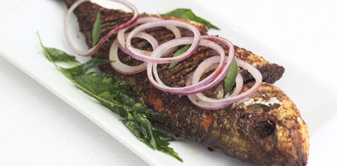 Blue Moon Restaurant - Kawana Tourism 2