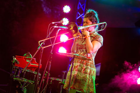 Agnes Blues, Roots And Rock Festival - Kawana Tourism 2