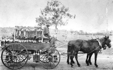 A Tale Of Two Villages - An Exhibition - Kawana Tourism 1