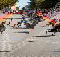 Australian Billy Cart Championships - Kawana Tourism