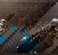 Baroque Horse Festival - Kawana Tourism