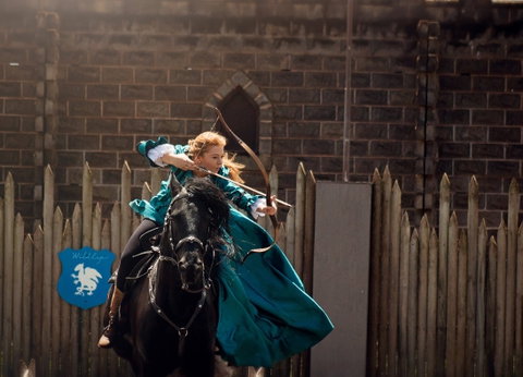 Baroque Horse Festival - Kawana Tourism 0