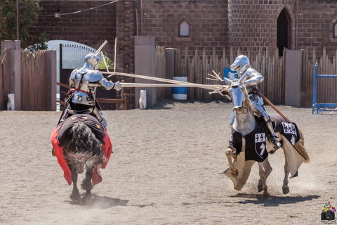 Baroque Horse Festival - Kawana Tourism 2